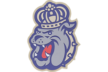 Load image into Gallery viewer, James Madison University Dukes 3D Logo Fan Foam Wall Sign