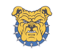 Load image into Gallery viewer, North Carolina A&T State University Aggies 3D Logo Fan Foam Wall Sign