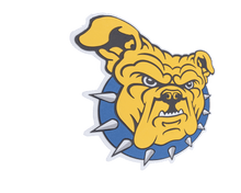 Load image into Gallery viewer, North Carolina A&amp;T State University Aggies 3D Logo Fan Foam Wall Sign profile
