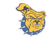 Load image into Gallery viewer, North Carolina A&T State University Aggies 3D Logo Fan Foam Wall Sign profile