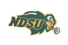 Load image into Gallery viewer, North Dakota State University Bison 3D Logo Fan Foam Wall Sign