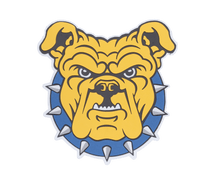 Load image into Gallery viewer, North Carolina A&amp;T State University Aggies 3D Logo Fan Foam Wall Sign
